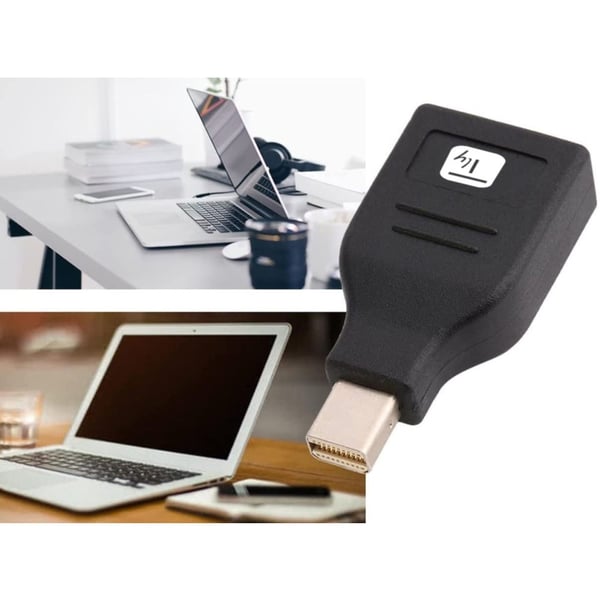 Techly IADAP DP-MDP2 kabel kønsskifter DisplayPort Mini DisplayPort Sort