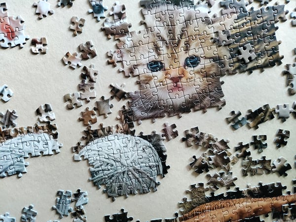 Tactic Cute Kittens 1000 pcs Puslespil 1000 stk Dyr