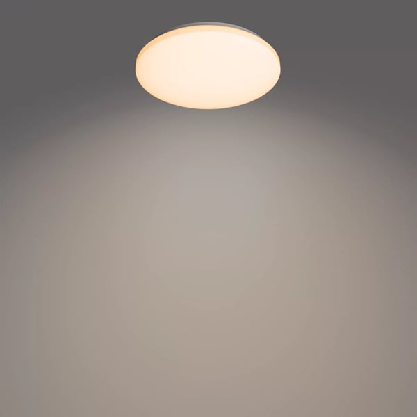 Philips Funktionel Izso loftslampe, 24 W