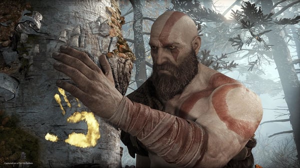 Sony Interactive Entertainment God of War Standard PlayStation 4