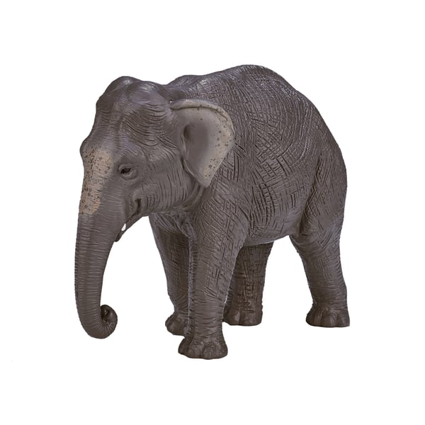 Mojo Fun Asian Elephant