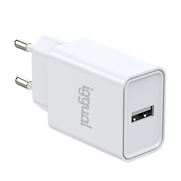 iggual IGG318188 oplader til mobil enhed Universel Hvid Vekselstrøm Indendørs