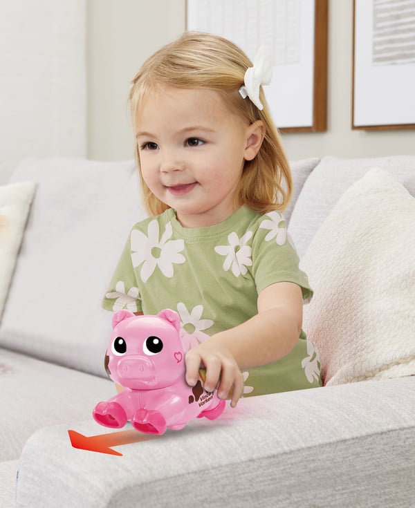 VTech Rol & Dol Dieren Trio Verpakking Sophie, Vince & Kate