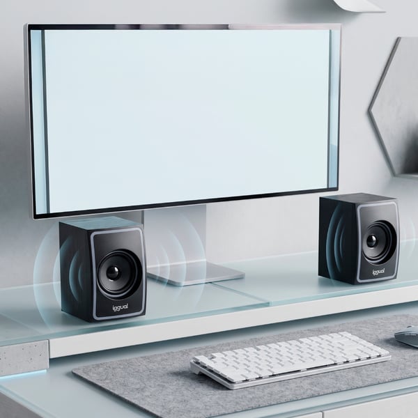 iggual IGG320716 högtalare Svart Kabel & Trådlös 10 W