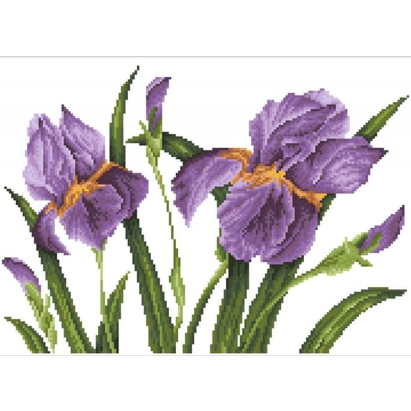 Diamond Dotz Iris Sunset