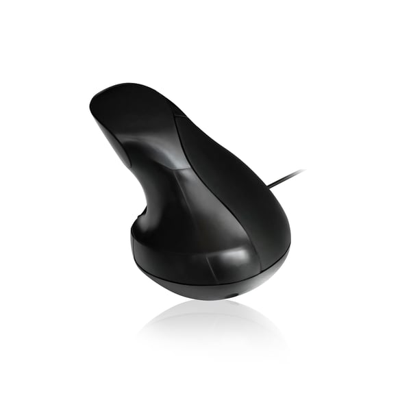 Ewent EW3156 mus Højre hånd USB Type-A Optisk 1000 dpi
