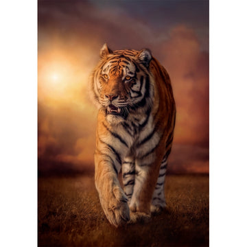 Clementoni Tiger Puslespil 1000 stk Dyr