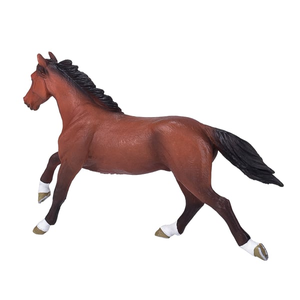 Mojo Fun Thoroughbred (Portugal)
