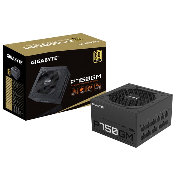 GIGABYTE P750GM strömförsörjningsenheter 750 W 20+4 pin ATX ATX Svart