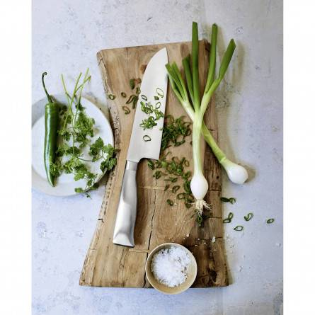 WMF 1889586032 Rustfrit stål 1 stk Filetkniv
