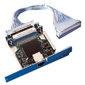 Zebra ZebraNet 10/100 Print Server Intern 100 Mbit/s