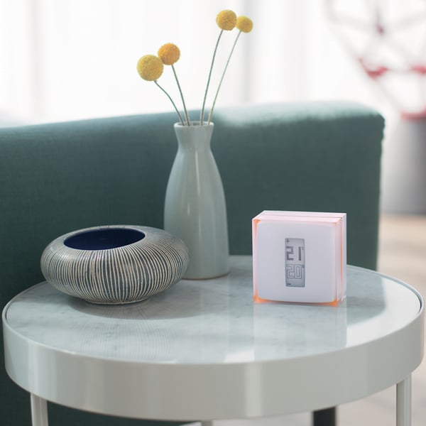 Netatmo Thermostat termostat RF Gennemsigtig, Hvid