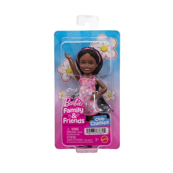 Barbie Chelsea Family & Friends Doll