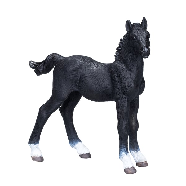 Mojo Fun Hanoverian Foal Black