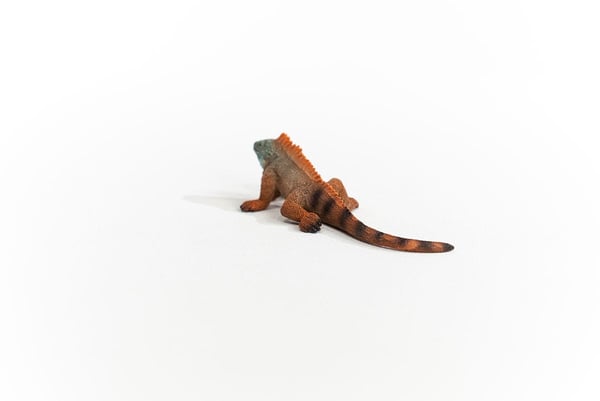 schleich WILD LIFE 14854 legetøjsfigur til børn