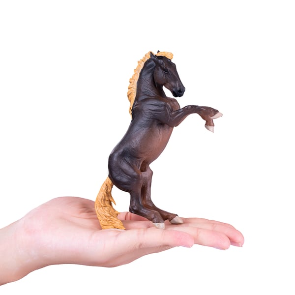 Mojo Fun Brumby Stallion