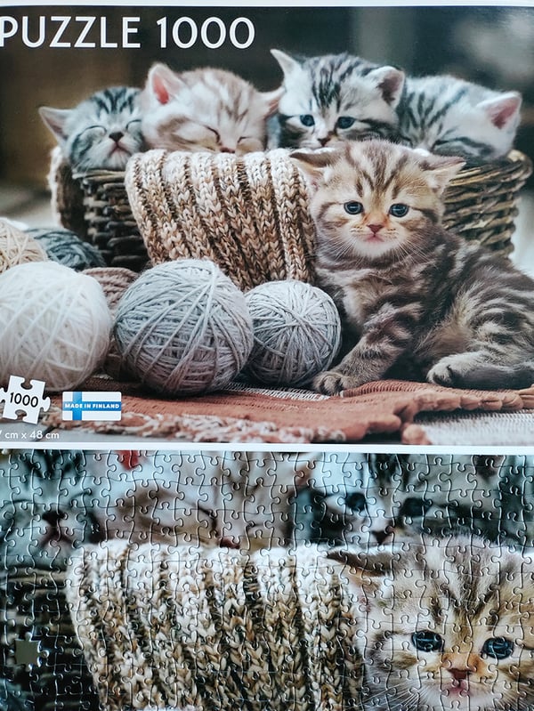 Tactic Cute Kittens 1000 pcs Puslespil 1000 stk Dyr