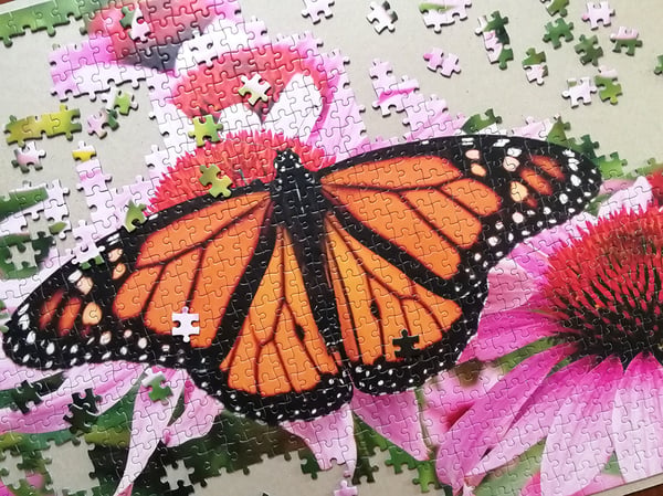 Tactic Monarch Butterfly 1000 pcs Kuviopalapeli 1000 kpl Eläimet