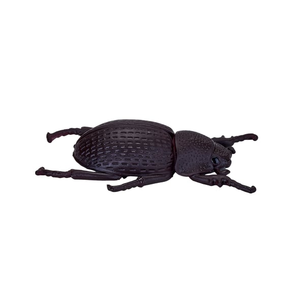 Mojo Fun Insects and Spider set 12pcs