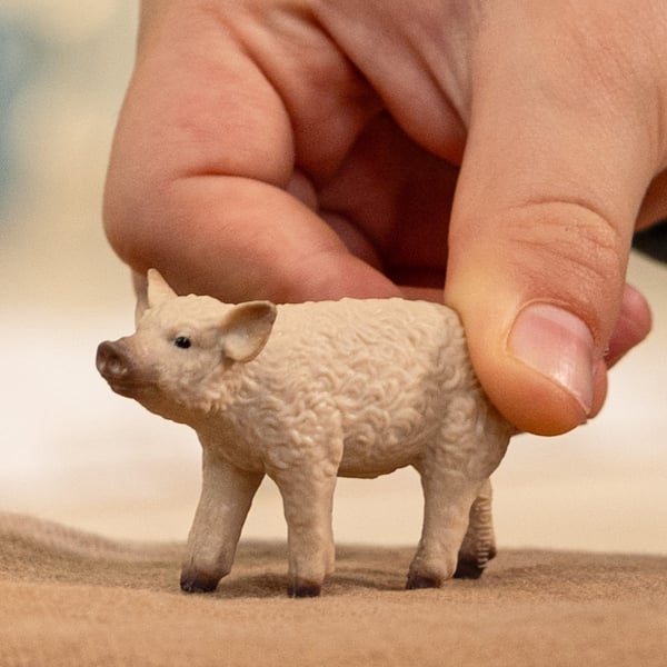 schleich FARM WORLD 14893 legetøjsfigur til børn