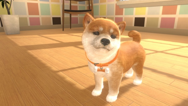 Nintendo Little Friends: Dogs and Cats Vakio Monikielinen Nintendo Switch