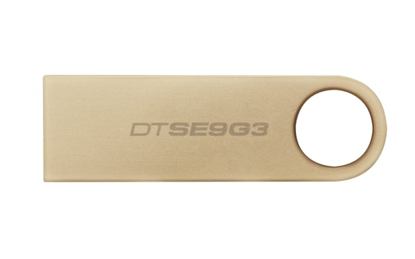 Kingston Technology DataTraveler 256 GB 220 MB/s Metal USB 3.2 Gen 1 SE9 G3