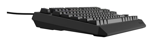 GENESIS Thor 230 TKL tastatur Spil USB QWERTY US engelsk Sort