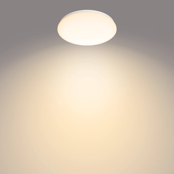Philips Funktionell Moire taklampa 17 W