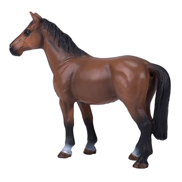 Mojo Fun Trakehner (Portugal)