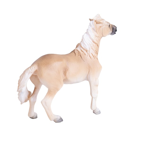 Mojo Fun Brumby Mare