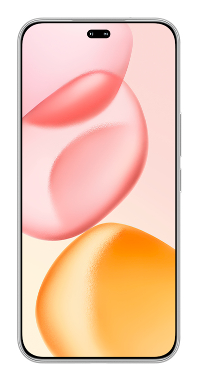 Honor 400 Pro 17 cm (6.7") MagicOS 9.0 5G 12 GB 512 GB 5300 mAh Grå