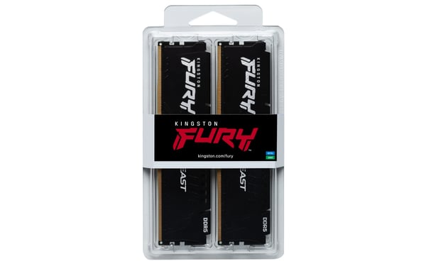 Kingston FURY Beast