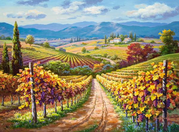 Castorland Vineyard Hill 3000 pcs Puslespil 3000 stk Landskab