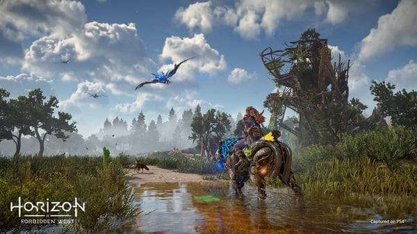 Sony Interactive Entertainment Horizon : Forbidden West Standard PlayStation 4