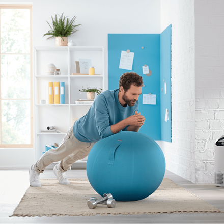 Leitz Ergo Cosy Active balancebold