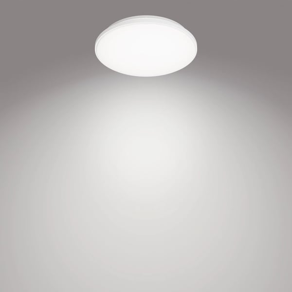 Philips Toiminnollinen Wincel kattovalaisin 24W