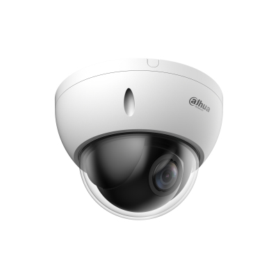 Dahua Technology WizSense SD22204DB-GNY Kupol-formad IP-säkerhetskamera Inomhus & utomhus 1920 x 1080 pixlar Tak