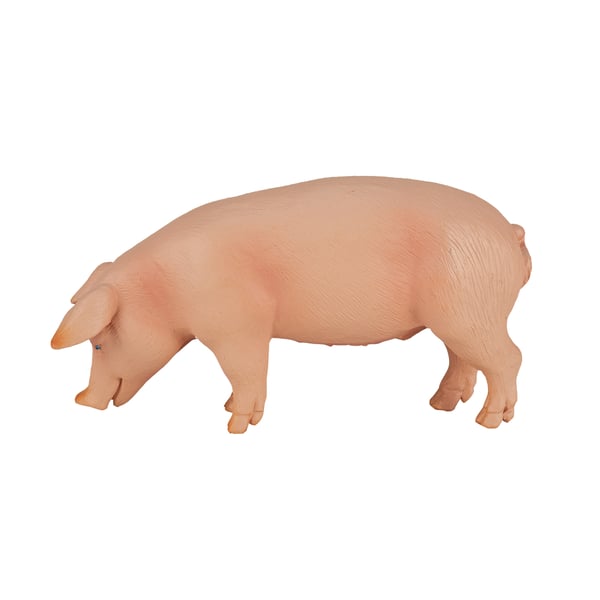 Mojo Fun Pig (Boar)