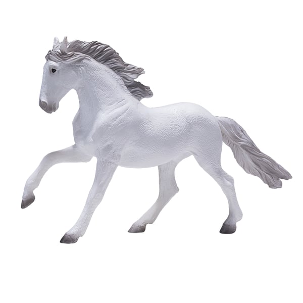 Mojo Fun Lusitano