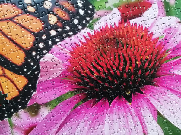 Tactic Monarch Butterfly 1000 pcs Kuviopalapeli 1000 kpl Eläimet