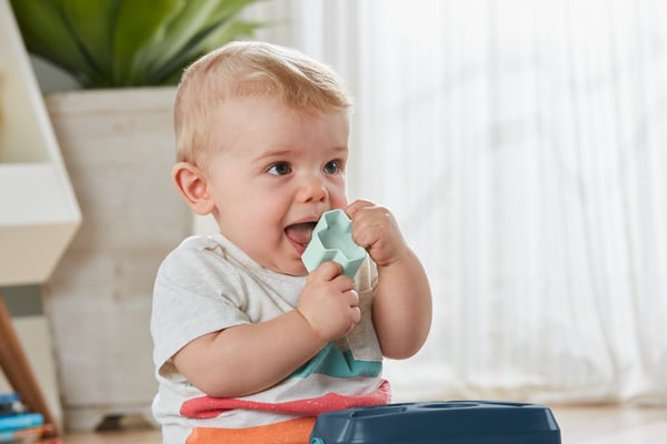 Fisher-Price Barnets första klossar från marinblått rådjur, formsorteringsleksak