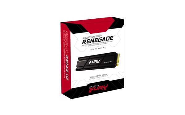 Kingston Technology 2000G RENEGADE PCIe 4.0 NVMe SSD M/HEATSINK