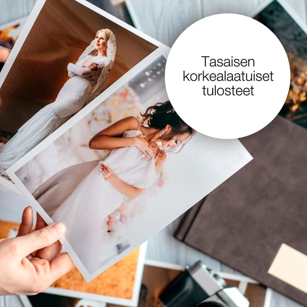 Epson 29 Muste Mansikka Yksittäinen, Vakio, syaani