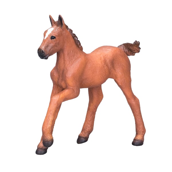 Mojo Fun Arabian Foal Chestnut