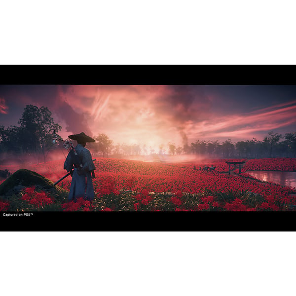 Sony Interactive Entertainment Ghost of Tsushima - Director’s Cut Komplett Flerspråkig PlayStation 5