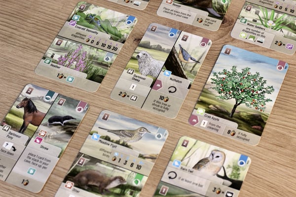 Asmodee Forest Shuffle Dartmoor Forest Shuffle Dartmoor Kortspil