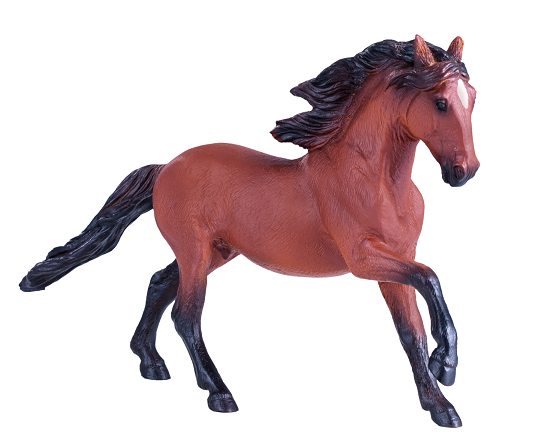 Mojo Fun Lusitano