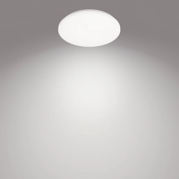 Philips Funktionel Izso loftslampe, 24 W