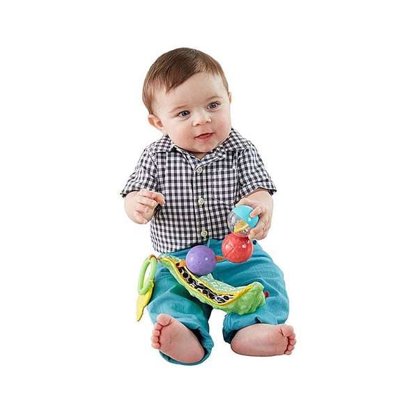 Fisher-Price DRD79 skallror