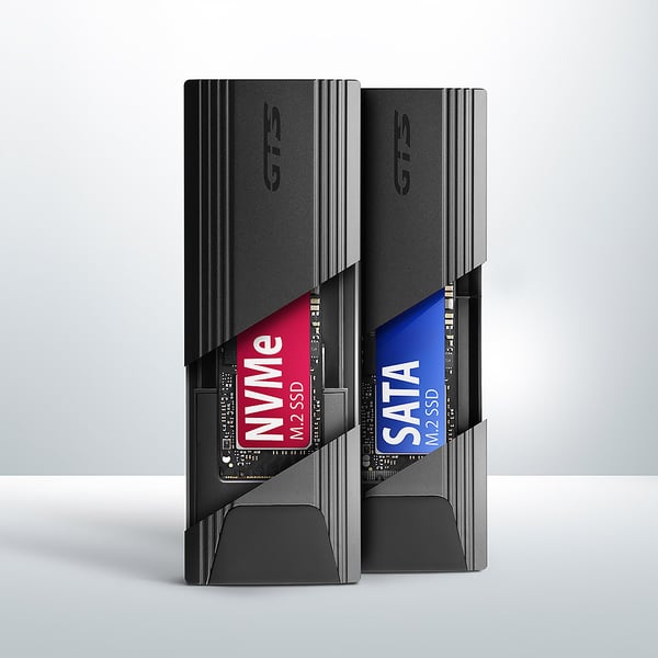 Axagon EEM2-GTS2 drevkabinet SSD kabinet Sort M.2